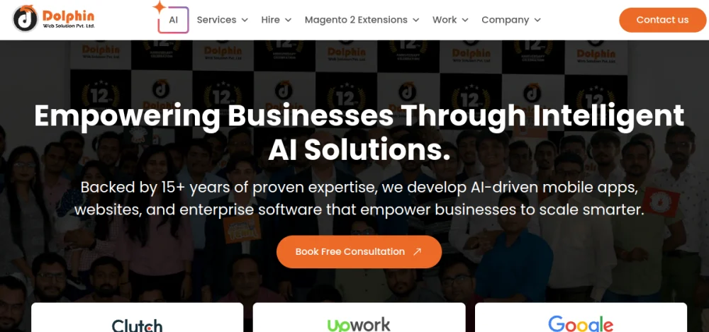 Dolphin Web Solution website