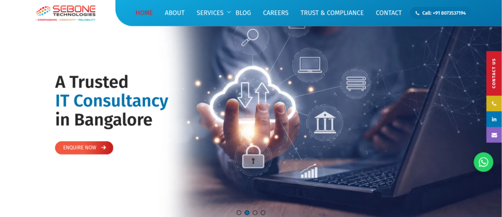 sebonetechnologies.com website screenshot