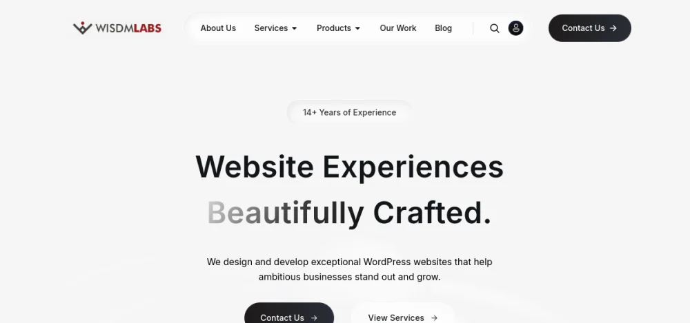 WisdmLabs website